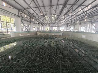 马岭水利枢纽工程增殖放流 每年有8万尾鱼游入马别河