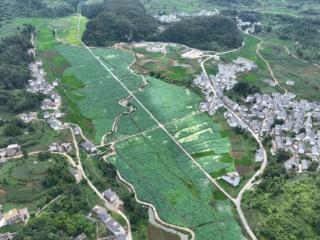 “蓝天水井·非遗点亮乡村”：普定县第九届乡村嘉年华水井荷花节即将开幕