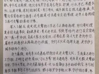 【青鸟计划】大学生暑期一线体验：交警背后那些不为人知的故事