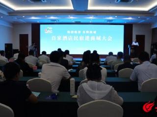 畅游临沂 乐购商城——百家酒店民宿进商城大会举行