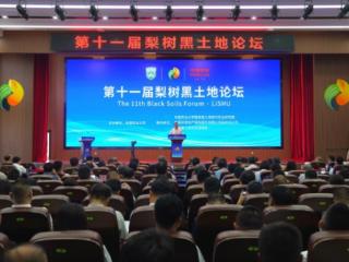 以金融活水润泽黑土地，用科技力量赋能“新农人”