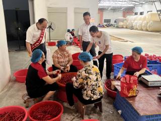 工行铜仁石阡支行：金融“活水”浇灌辣椒产业“红”起来