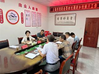 上饶市残联党组书记陈乐赴西岩村调研