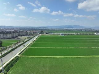 高标准农田建设，福州有哪些做法与经验？