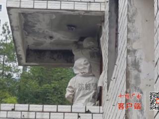 高“蜂”期来了！十堰消防7月已“捅掉”56个马蜂窝