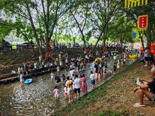 东湖评论：仙居在东宝，四季游可好