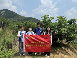 传媒力量进果园，智媒实践来兴农