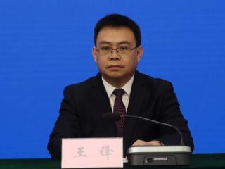 滨州盐田虾开捕节将于7月31日启幕