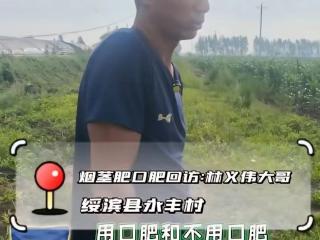 黑龙江玉米种植，福邦烟茎肥提升抗逆、旺根系