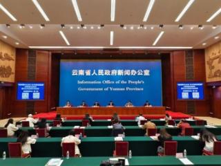 云南省属企业高效履责 筑牢增长根基提振发展信心
