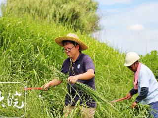 90后农场主变身博士生 500亩生态农场里的乡村振兴梦