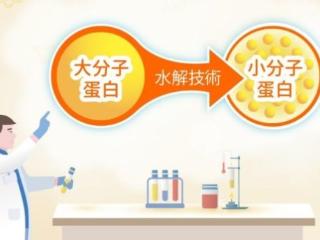 小分子奶粉凭什么风靡宝妈圈？这4大硬核优势告诉你答案！