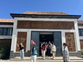 石榴花开 籽籽同心丨一棵白杨树 万千戍边情——探访塔城“小白杨哨所”的精神密码