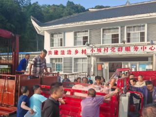 真帮实扶！百里杜鹃管理区两村建成生猪选育基地