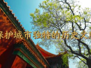学习在理 微视频｜保护城市独特的历史文脉