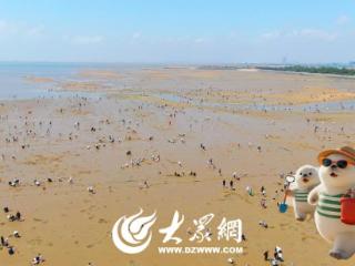 AI海豹带你品味岚山丨盛夏赴一场与潮汐的鲜甜约会