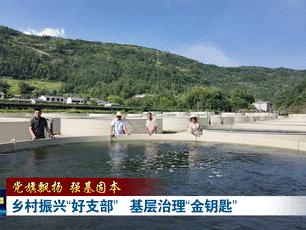党旗飘扬 强基固本丨乡村振兴“好支部” 基层治理“金钥匙”