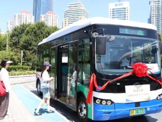 串联沿海主要景区及文化地标，青岛再开旅游公交和环浮山公交