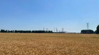 智慧赋能“绿野模式”，三万亩麦田奏响“知天而作”新乐章