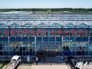 潍坊安丘长生源生态家庭农场：在阡陌上生出智慧革命