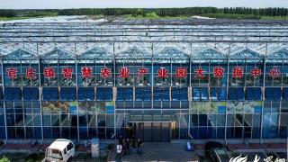 潍坊安丘长生源生态家庭农场：在阡陌上生出智慧革命