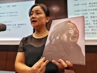 南京大屠杀历史记忆传承人首次在日演讲