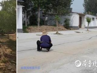 小城镇走出焕新脚步，茌平胡屯镇“绣花功夫”迎来精彩蜕变