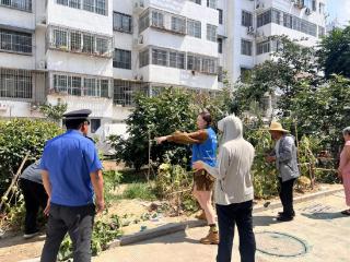 党建引领聚合力，济阳街道吉安南区专项整治显成效