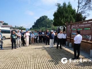 品水晶葡萄 观激情村马 三都夏日文旅大餐邀您共赴