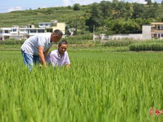 “田保姆”走进千万家丨毕节市创新推动综合农事服务中心建设