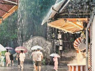 今明我市仍有中雨到大雨 局部或有暴雨