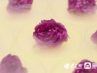 粮满仓·好丰光丨新农人：“85后”玫瑰匠人让千年玫瑰绽放科技之花