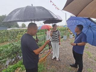 风雨中坚守！泰山区徐家楼街道宅子村筑牢农田河道防线 双线守护汛期安全