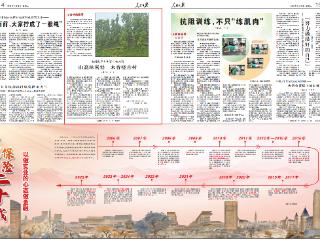 山高林密处 木香绕古村！《人民日报》关注贵州凯里这片百年楠木群