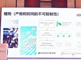 【2025 PCT】安赛搏创新原料-天山雪莲愈伤组织提取物抗衰老功效靶点挖掘