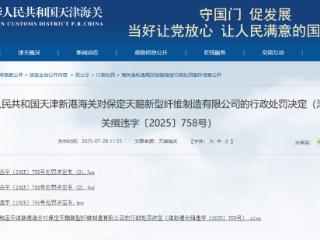申报不实！保定天鹅新型纤维制造被罚