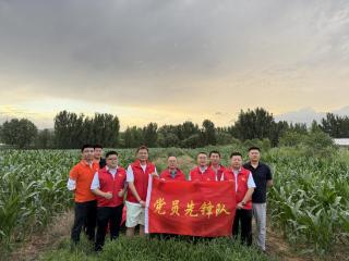 平安产险青岛分公司：助农增收办实事 党员先锋暖民心