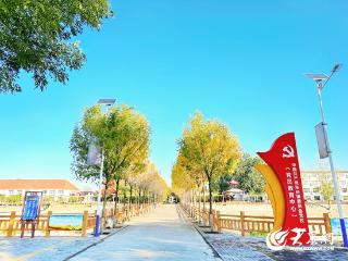 淄博西单村：一餐热饭温暖“一老一小” 一箸一瓢盛满乡村文明