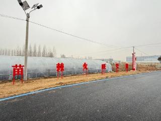 沂河新区凤凰岭街道前兴旺村：产业兴、环境美、民风淳的幸福画卷