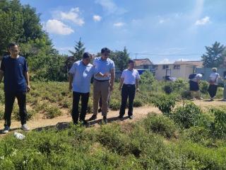 山东中医药大学到济南市莱芜区苗山镇开展暑期“三下乡”社会实践活动