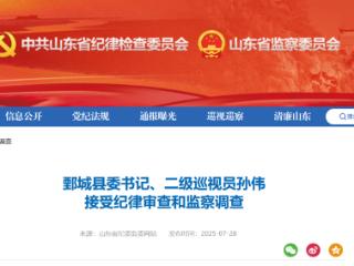 鄄城县委书记、二级巡视员孙伟被查