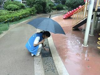 南苑街道欣锦苑社区开展防汛隐患排查志愿服务活动