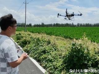 青岛故事丨即墨小伙玩转无人机“飞防”，一上午作业300亩