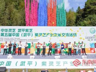 觅仙草、吸仙气、品灵芝！第五届中国（武平）紫灵芝产业发展交流活动精彩开幕
