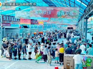 泰山果蔬综合批发市场盛大开业，单日客流量破万人！
