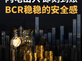 用户信赖之选：BCR凭9.12高分与PI保险树立行业典范