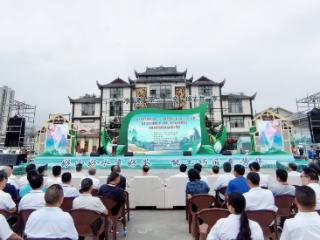 贵州沿河：千年古树红茶荣获全省斗茶赛金奖