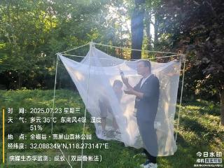 小叶医探 | 安徽“花蚊子”哪里多？省疾控绘制“蚊子地图”