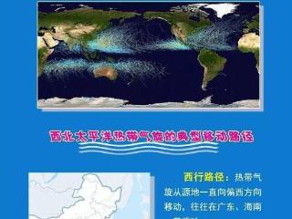台风“竹节草”卷土重来！浙江风雨将明显增强 收下防台贴士