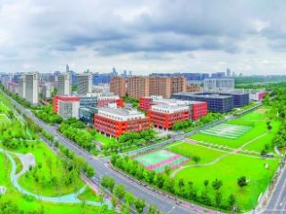 花神大道绿地整治完工